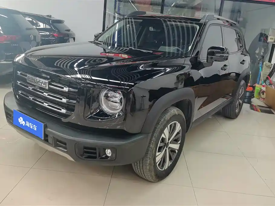 HAVAL BIG DOG