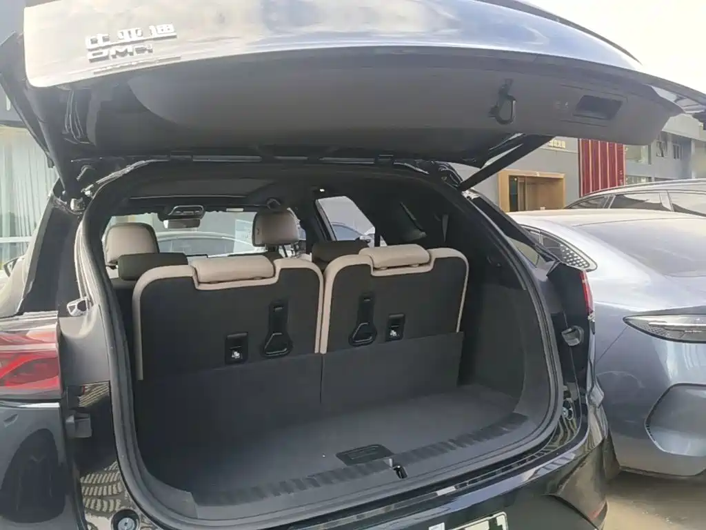 BYD Tang New Energy — миниатюра 19