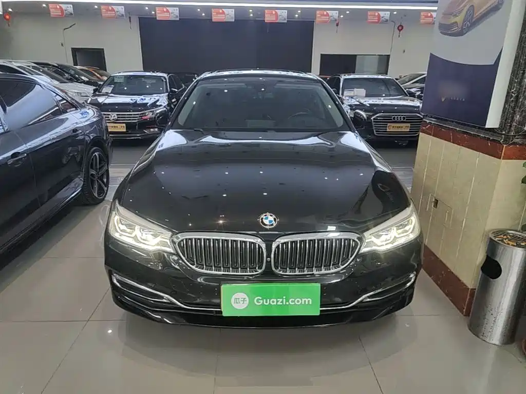BMW 5 Series 5 2019 530Li Premium Luxury