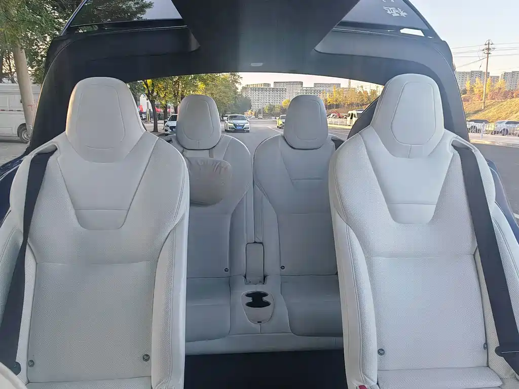 Tesla Model X — миниатюра 26