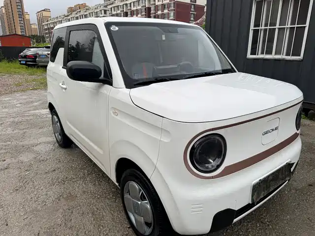 2024 Geely LC (Panda)