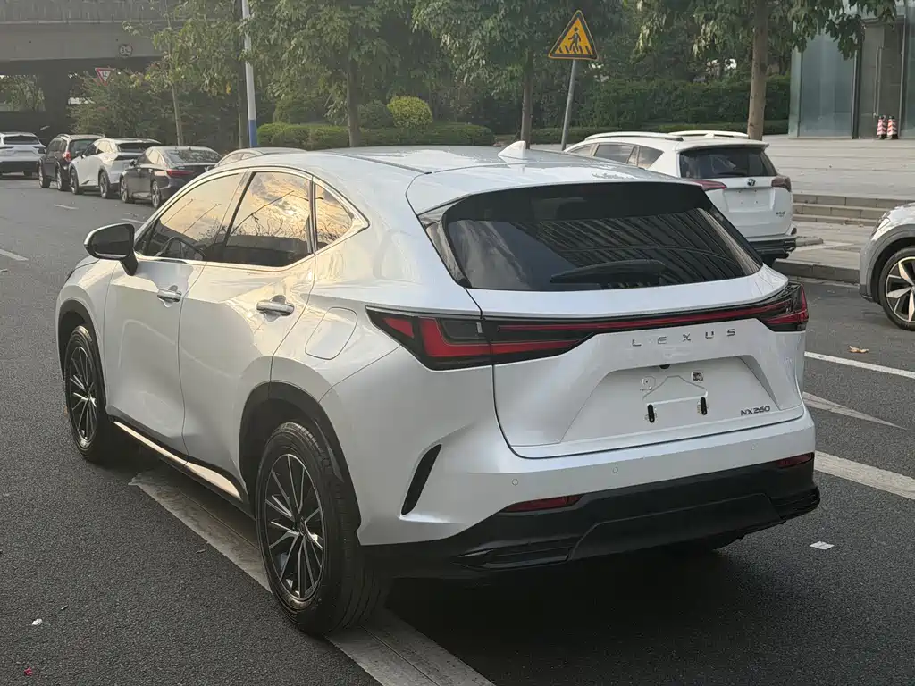 Lexus NX — миниатюра 13
