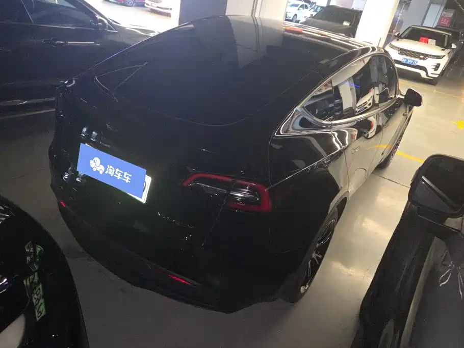 Tesla Model Y — миниатюра 3