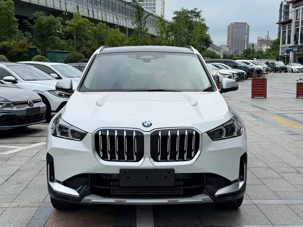 BMW X1 — миниатюра 2