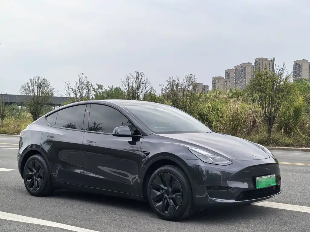 Tesla Model Y — миниатюра 3