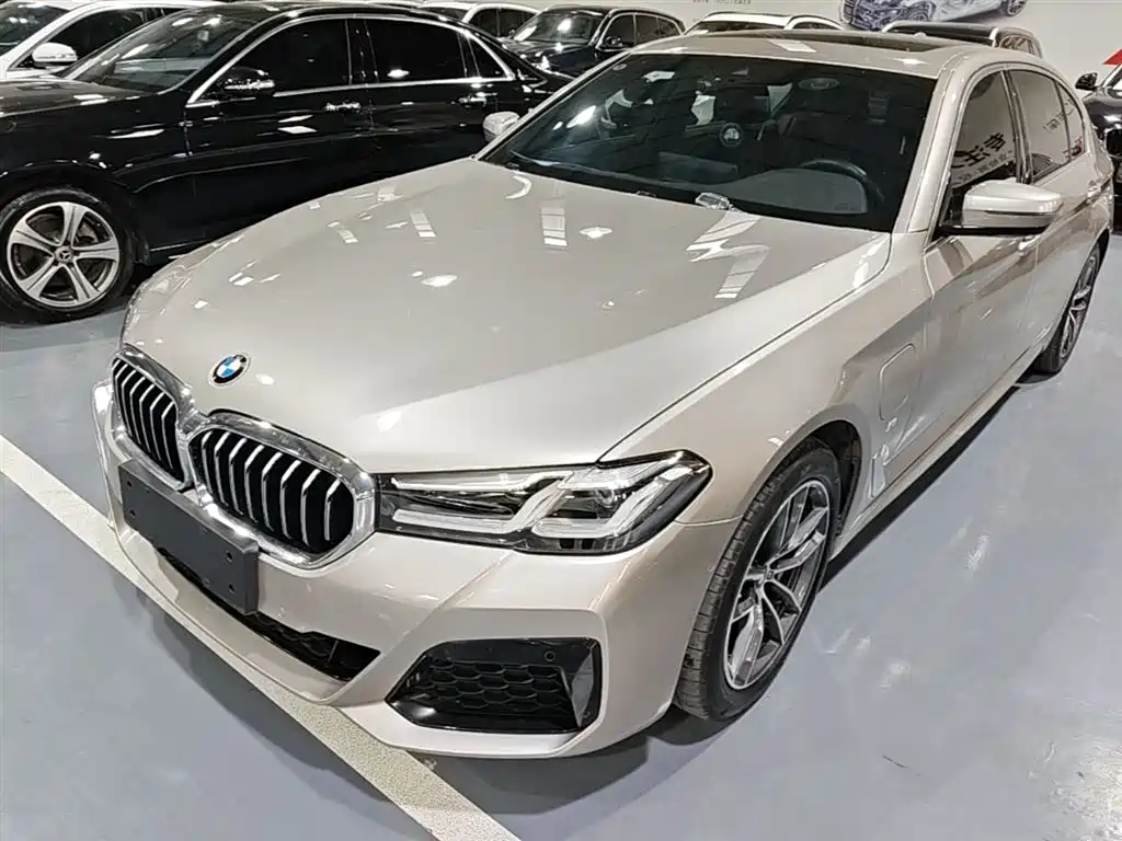 BMW 5 Series New Energy 2021