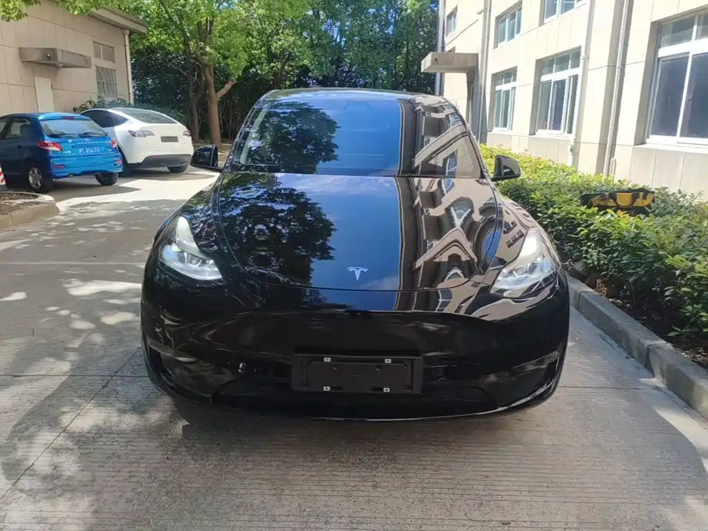 Tesla Model Y — миниатюра 3