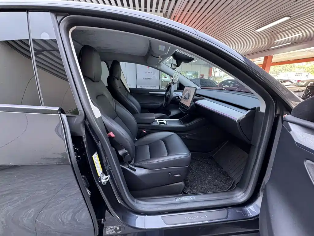 Tesla Model Y — миниатюра 25
