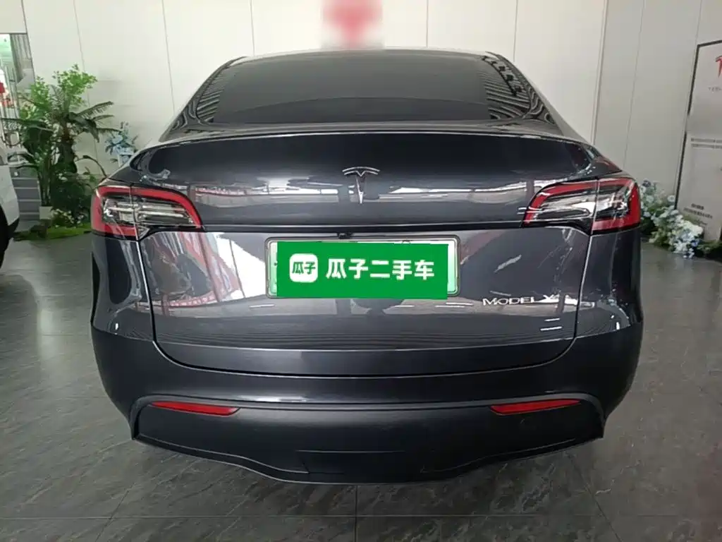 Tesla Model Y — миниатюра 6
