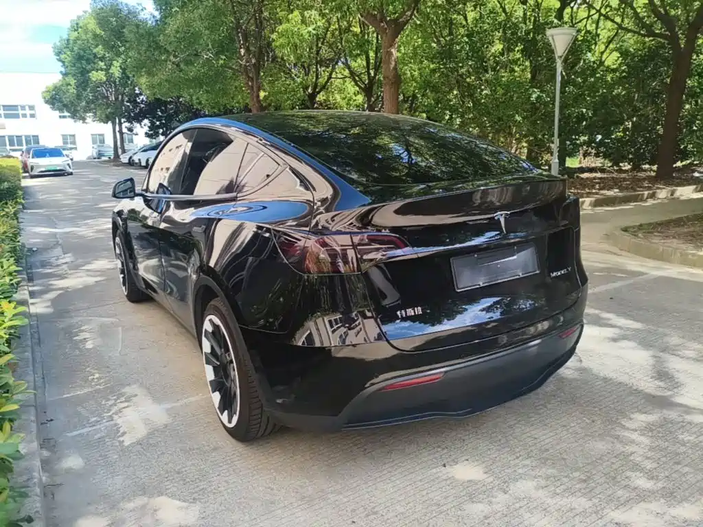 Tesla Model Y — миниатюра 5