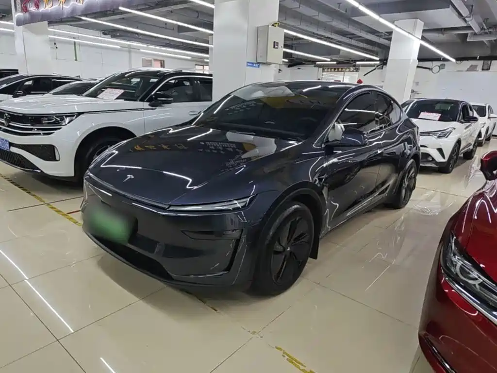 Tesla Model Y — миниатюра 2
