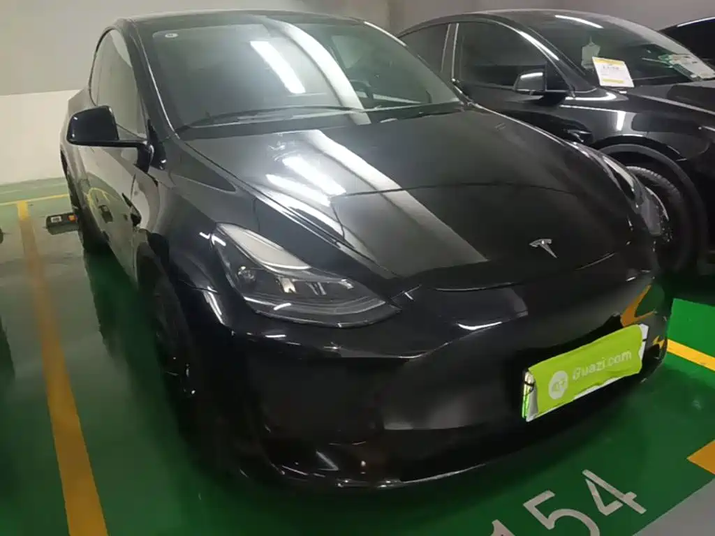 Tesla Model Y — миниатюра 4