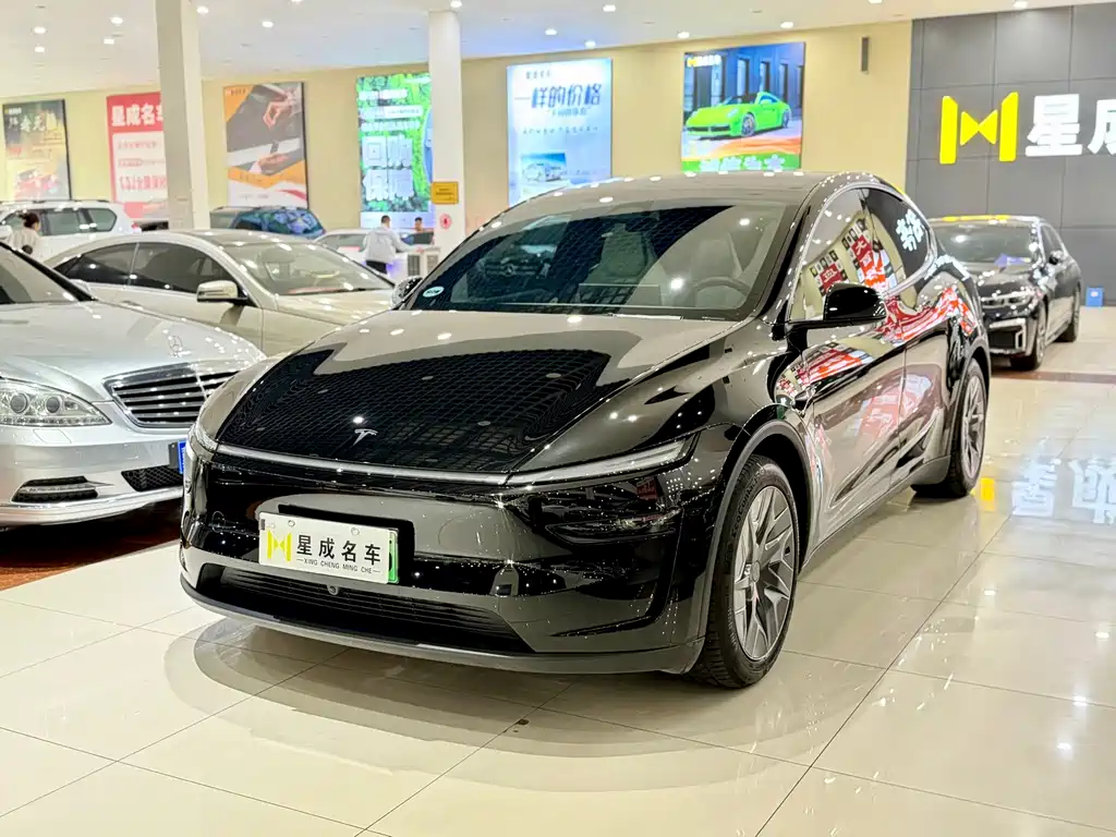 Tesla Model Y L