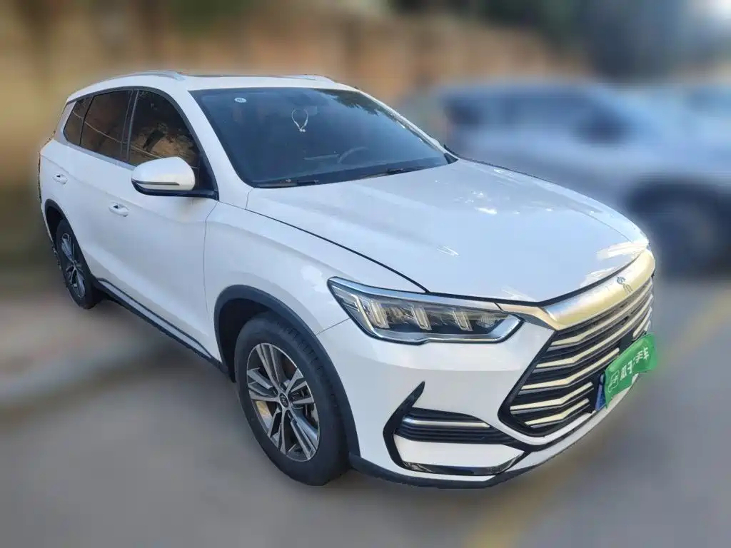 BYD Pro — миниатюра 3