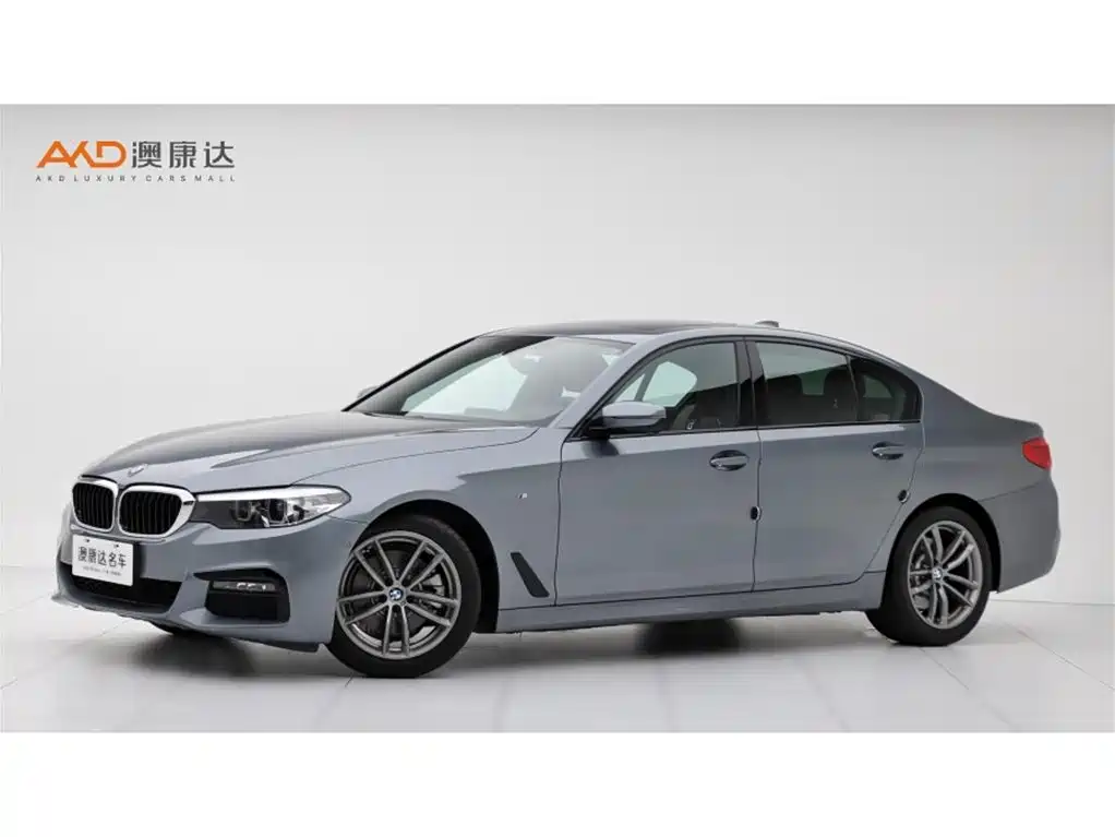 BMW 5 Series 5 2019 525Li M Sport