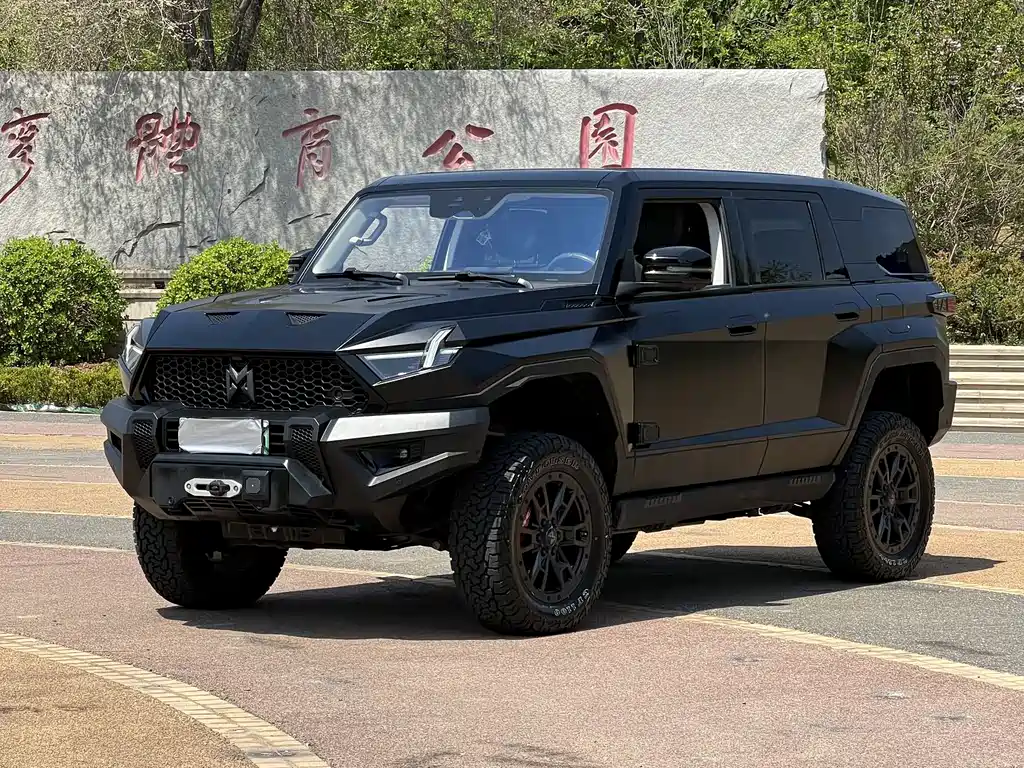 Mengshi Mengshi 917 2024