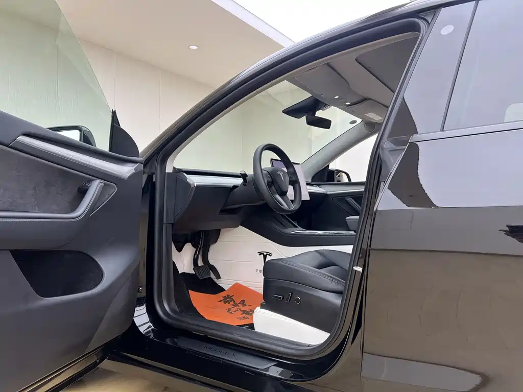 Tesla Model Y — миниатюра 14