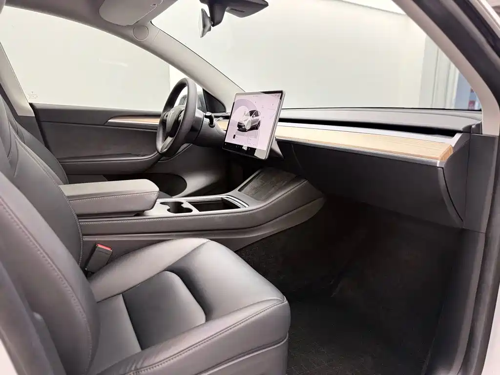 Tesla Model Y — миниатюра 10