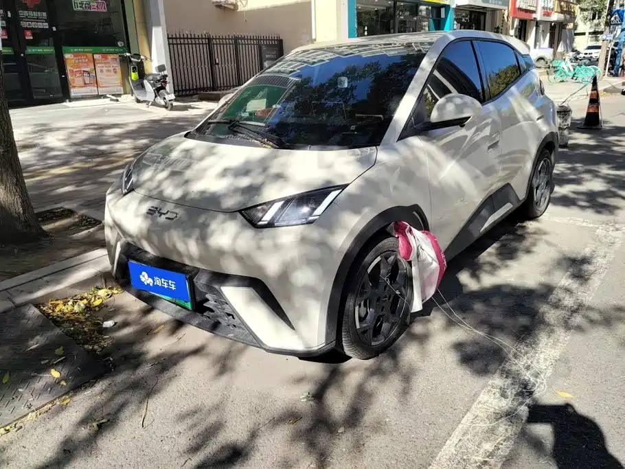 BYD Seagull
