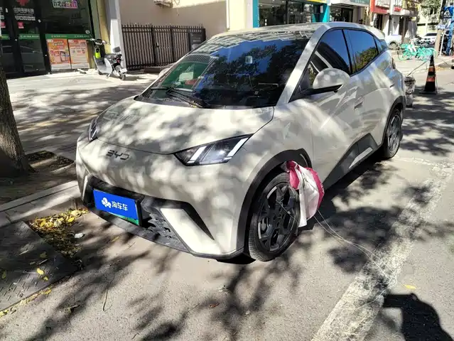 BYD Seagull