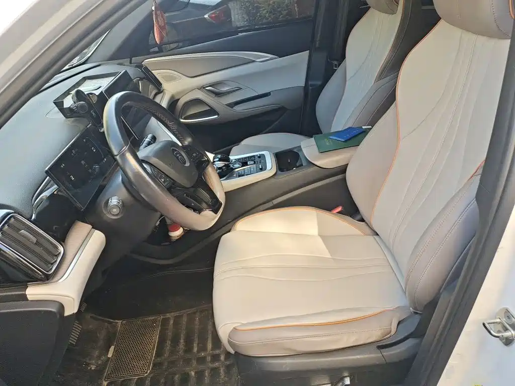 BYD Pro New Energy - фото 8