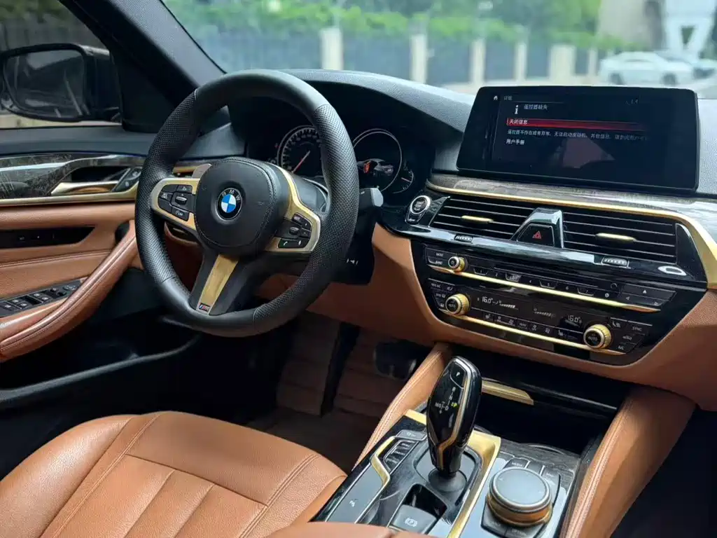 BMW 5 Series 5 2018 530Li Lead M Sport