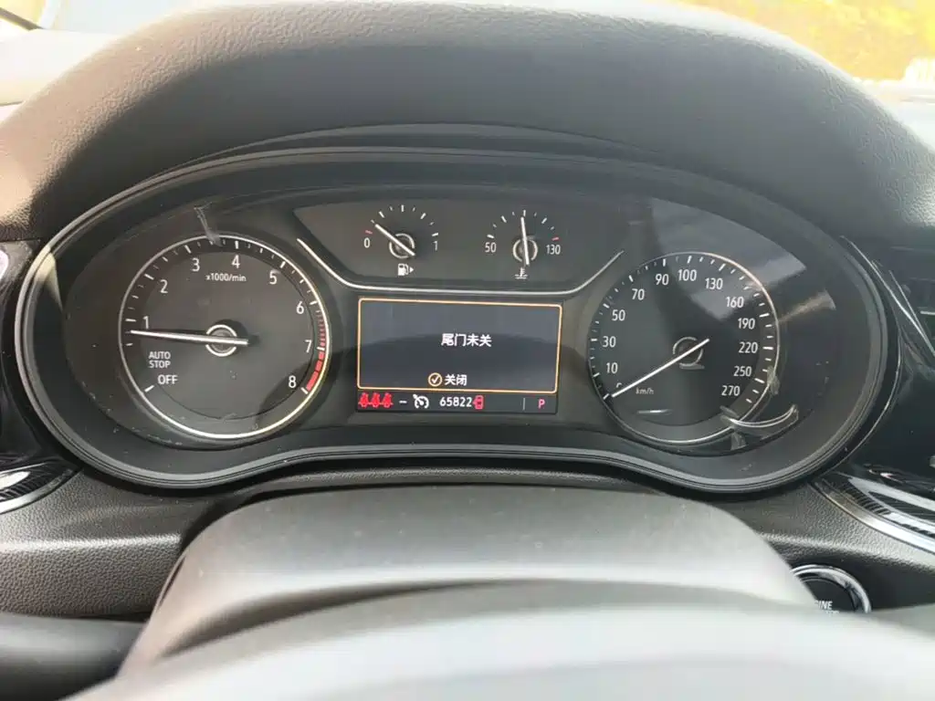 Buick Regal — миниатюра 12