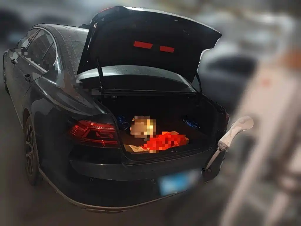 Volkswagen Magotan — миниатюра 10