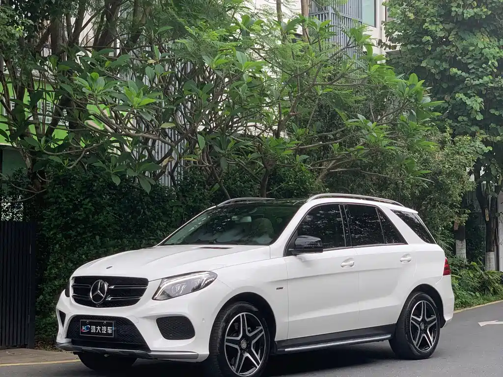 Mercedes-Benz 奔驰GLE(进口) 2017