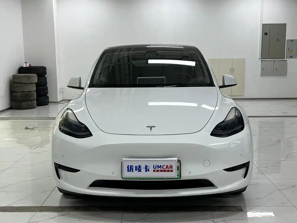 Tesla Model Y — миниатюра 2
