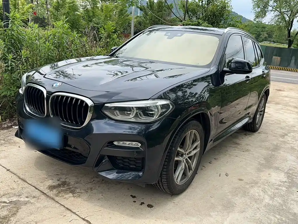 BMW X3 2018 xDrive25i M Sport VI