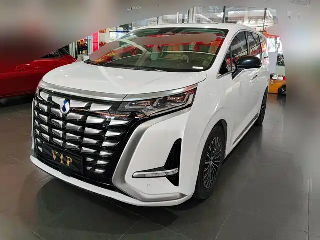 2024 Denza D9