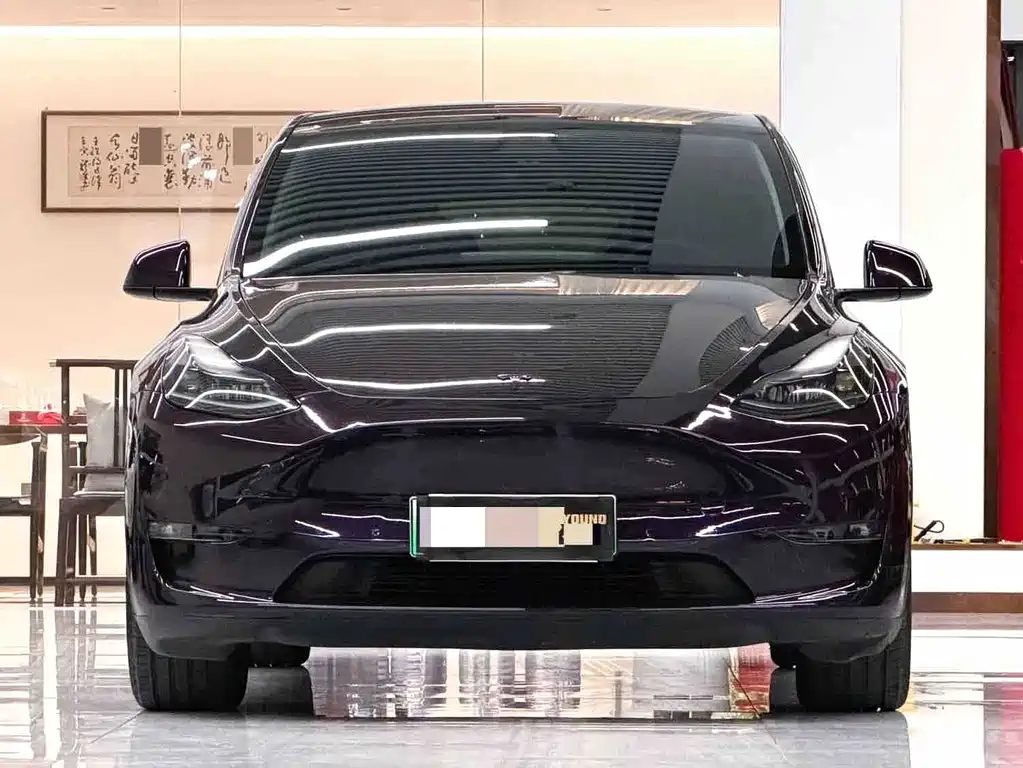 Tesla Model Y — миниатюра 2