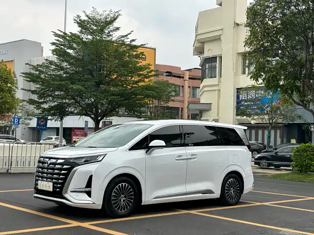 2023 Denza D9