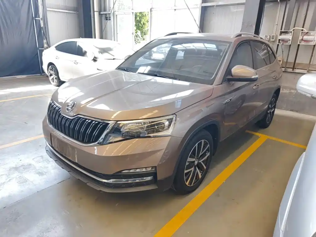 Skoda Kamiq — миниатюра 2