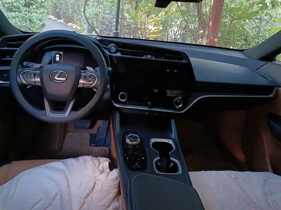 Lexus RZ — миниатюра 12