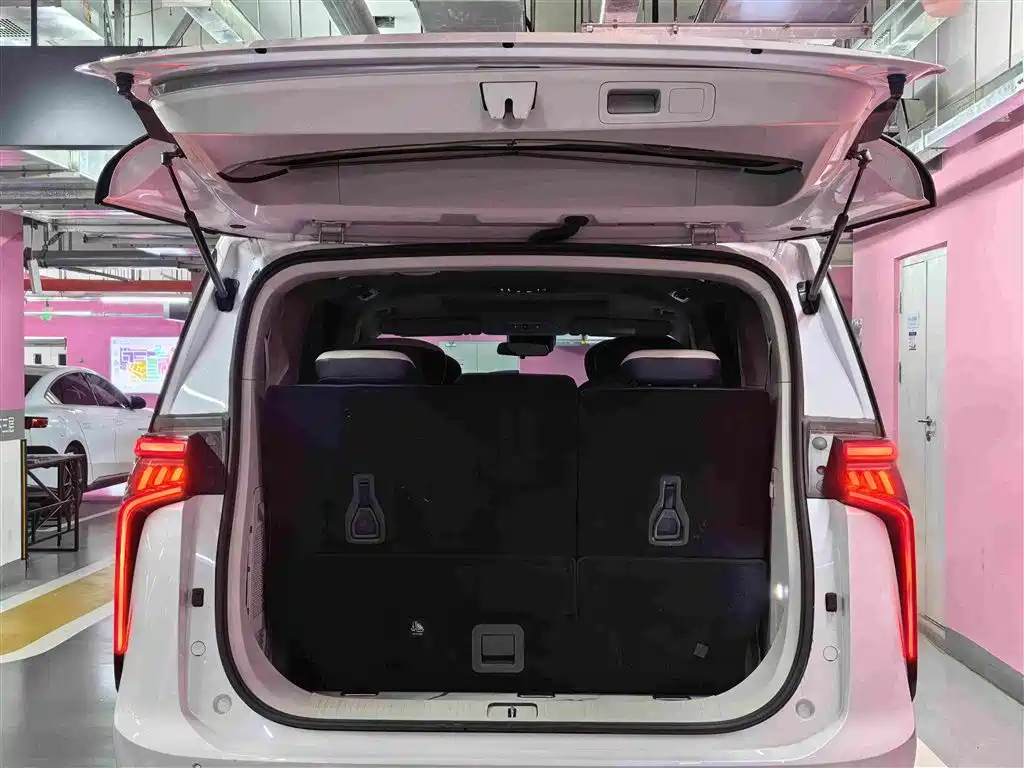 MAXUS Dajia 9 — миниатюра 6