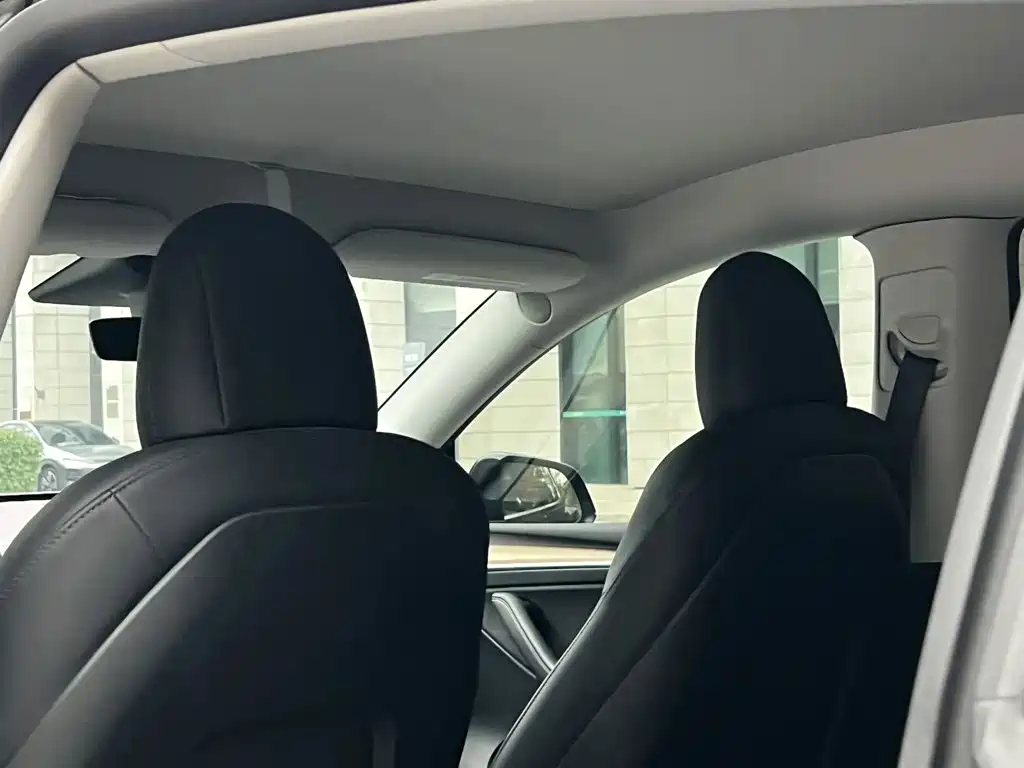 Tesla Model Y — миниатюра 9