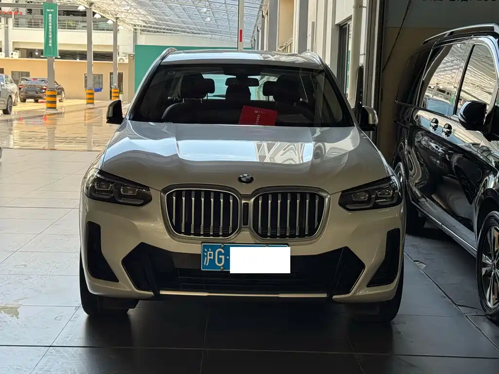 BMW X3 — миниатюра 2