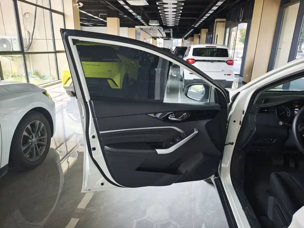 Venucia D60 EV — миниатюра 13