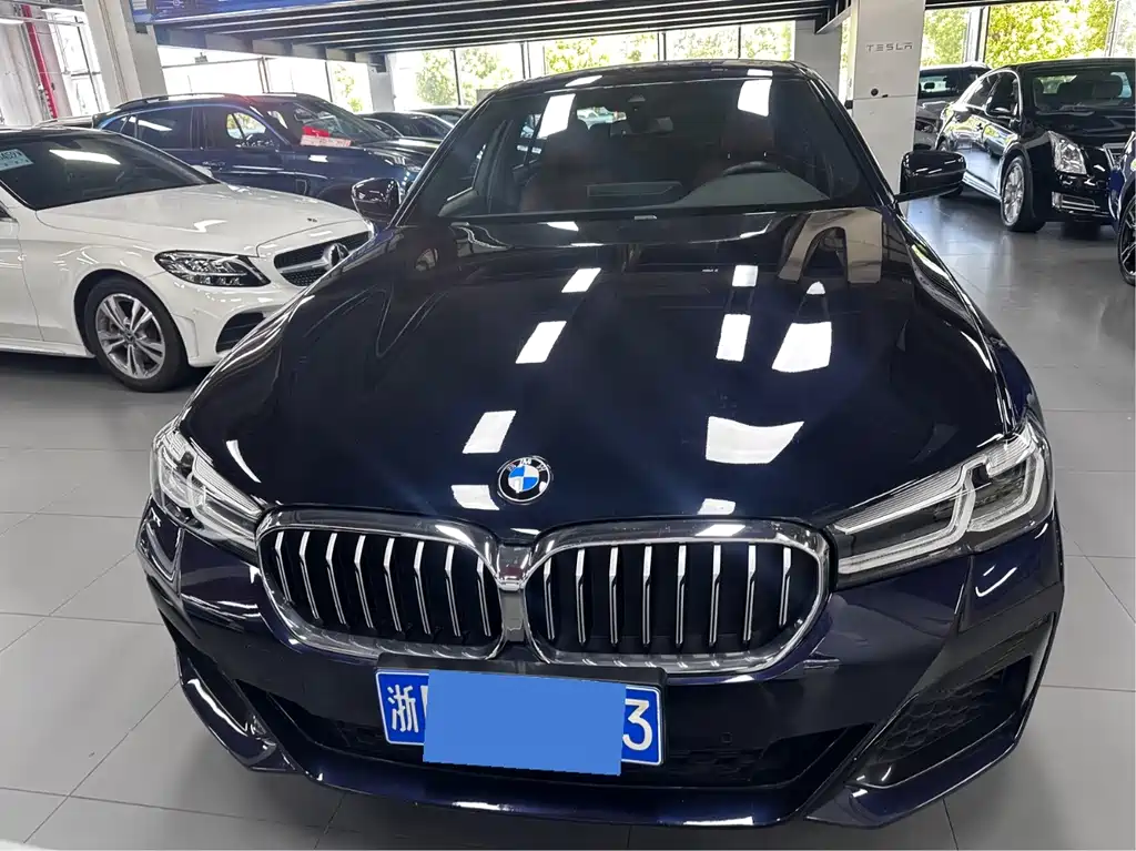 BMW 5 Series — миниатюра 2