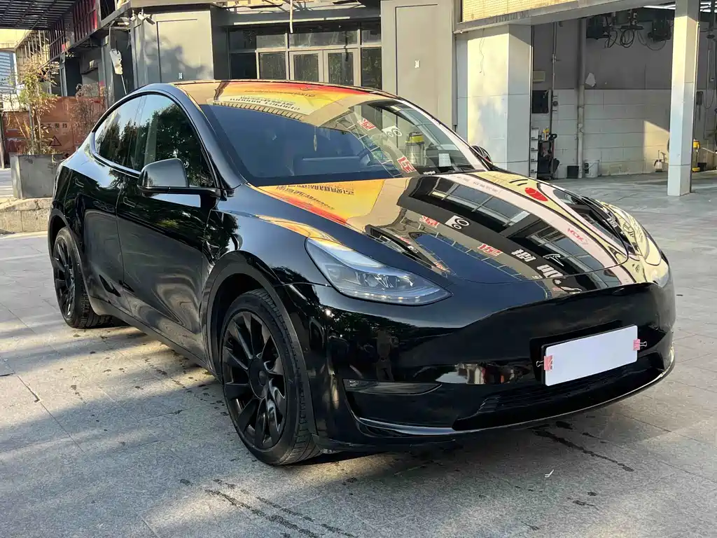 Tesla Model Y — миниатюра 3