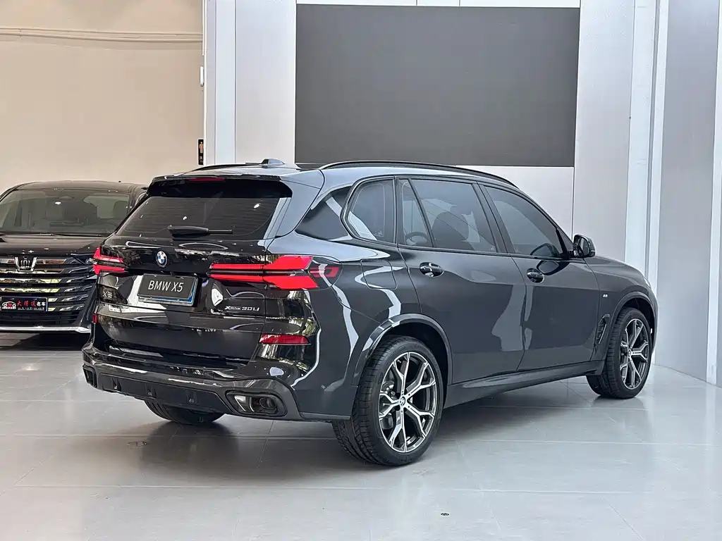 BMW X5 — миниатюра 19