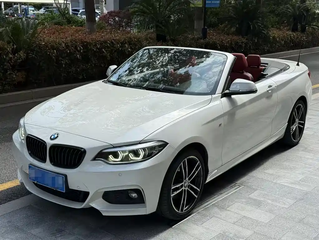 BMW 2 Series (Import) 2021