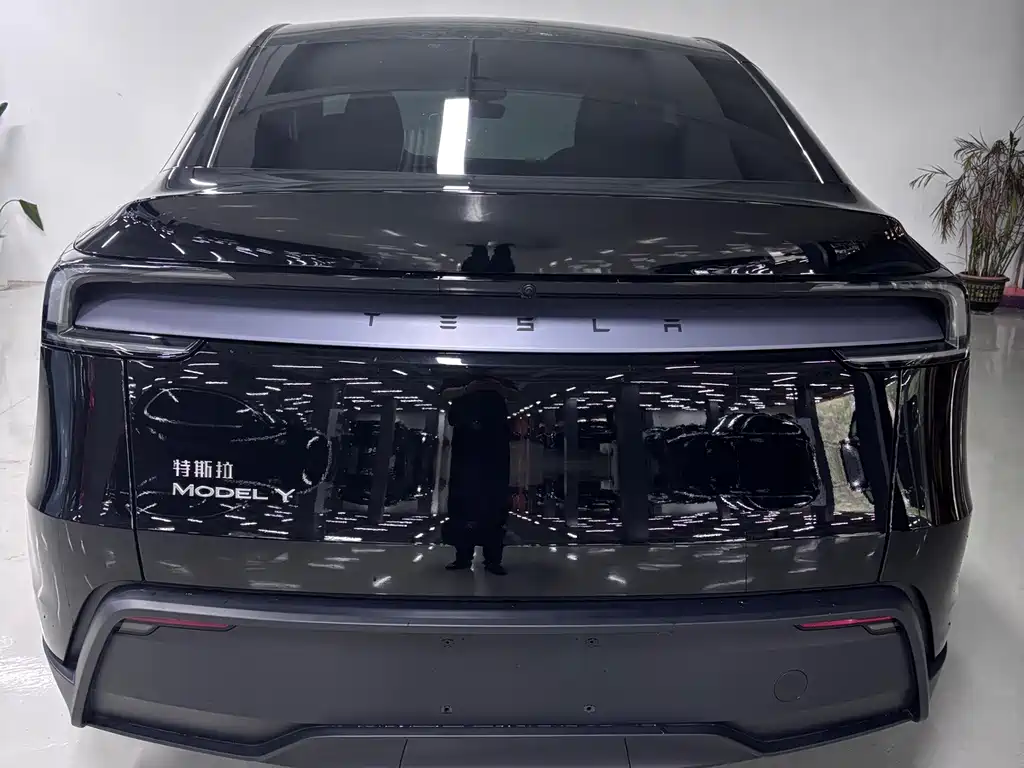Tesla Model Y — миниатюра 7