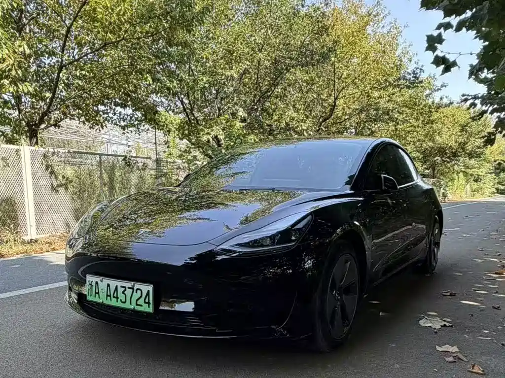 Tesla Model 3 — миниатюра 3