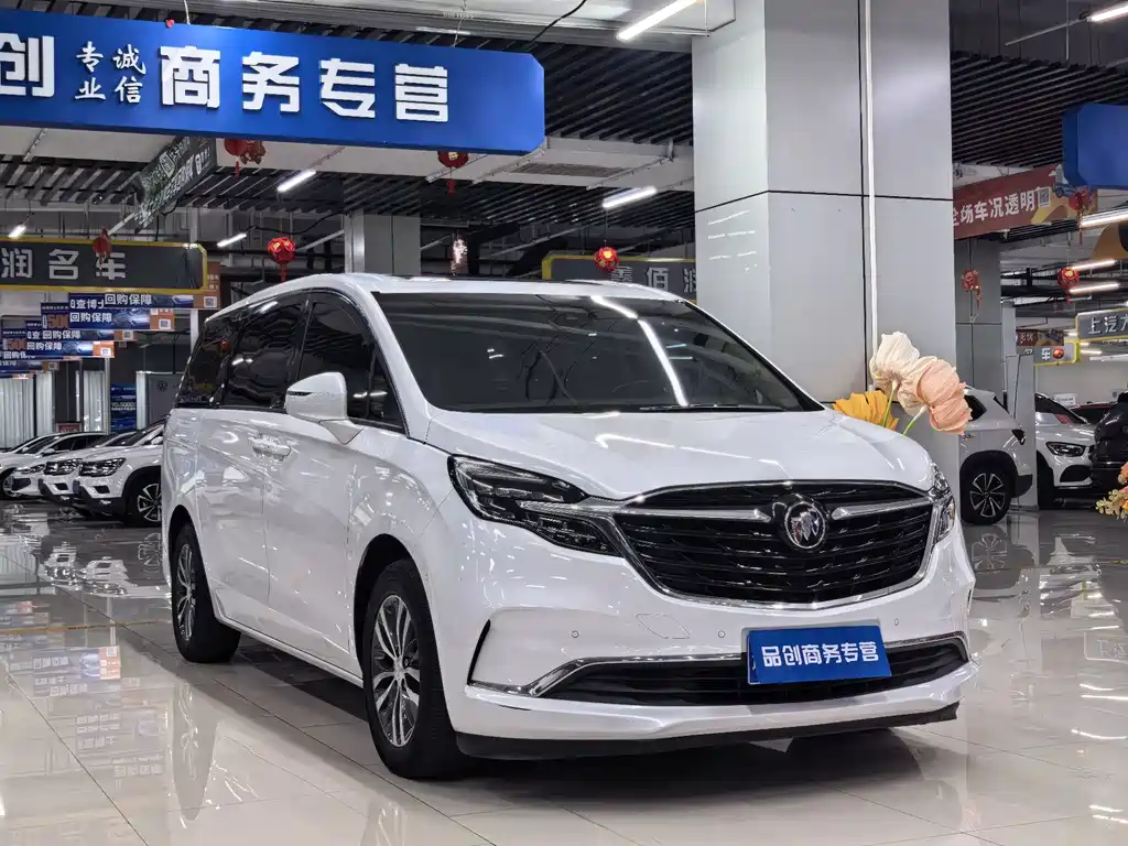 Buick GL8 — миниатюра 3