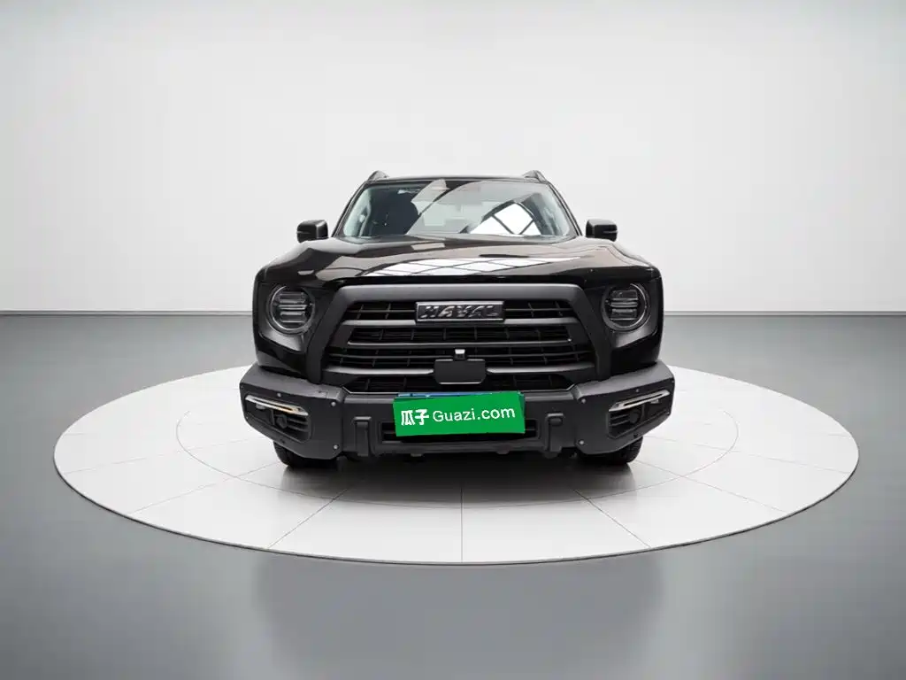 Haval Big Dog — миниатюра 2