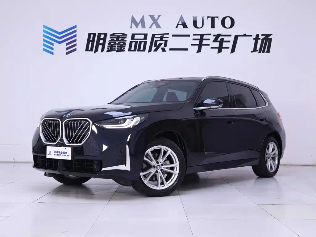 BMW X3 — миниатюра 2
