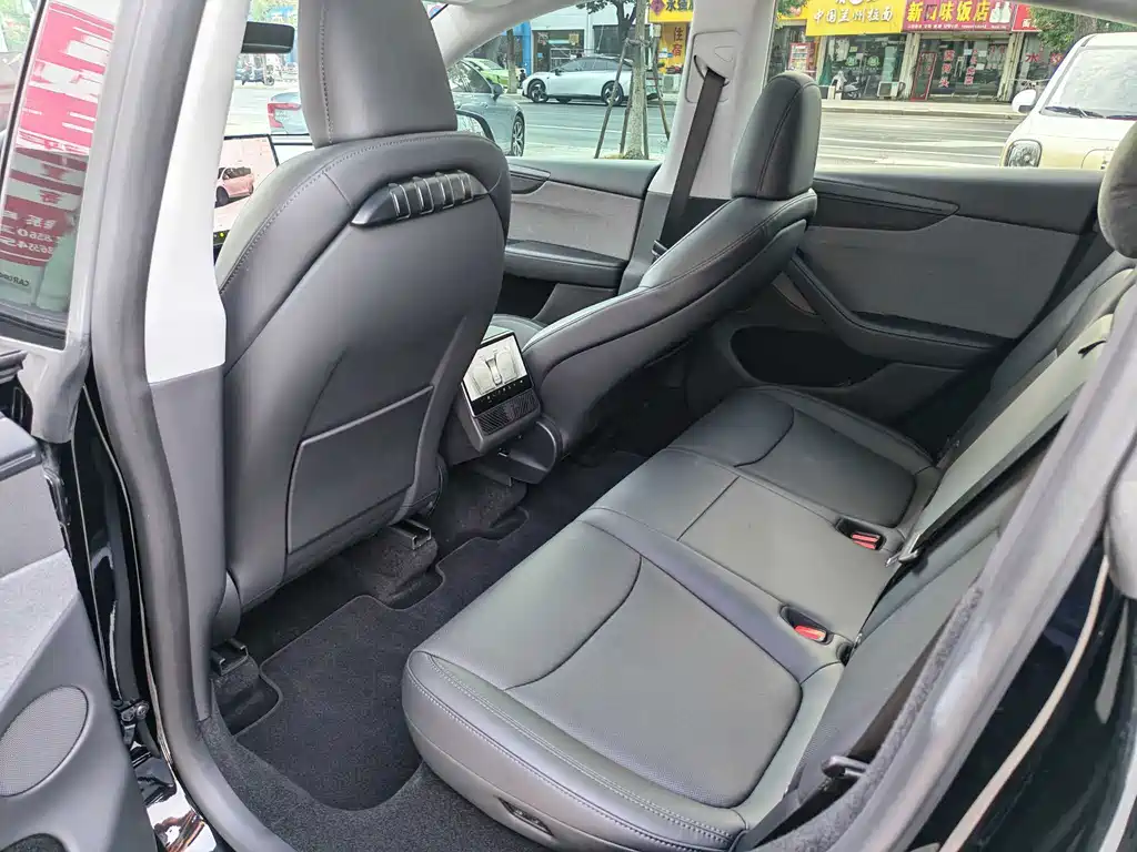 Tesla Model Y — миниатюра 6